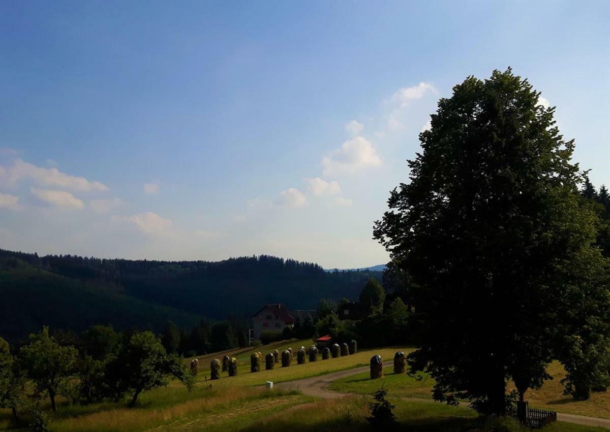 Apartament Z Kominkiem I Wanna Istebna Bagian luar foto