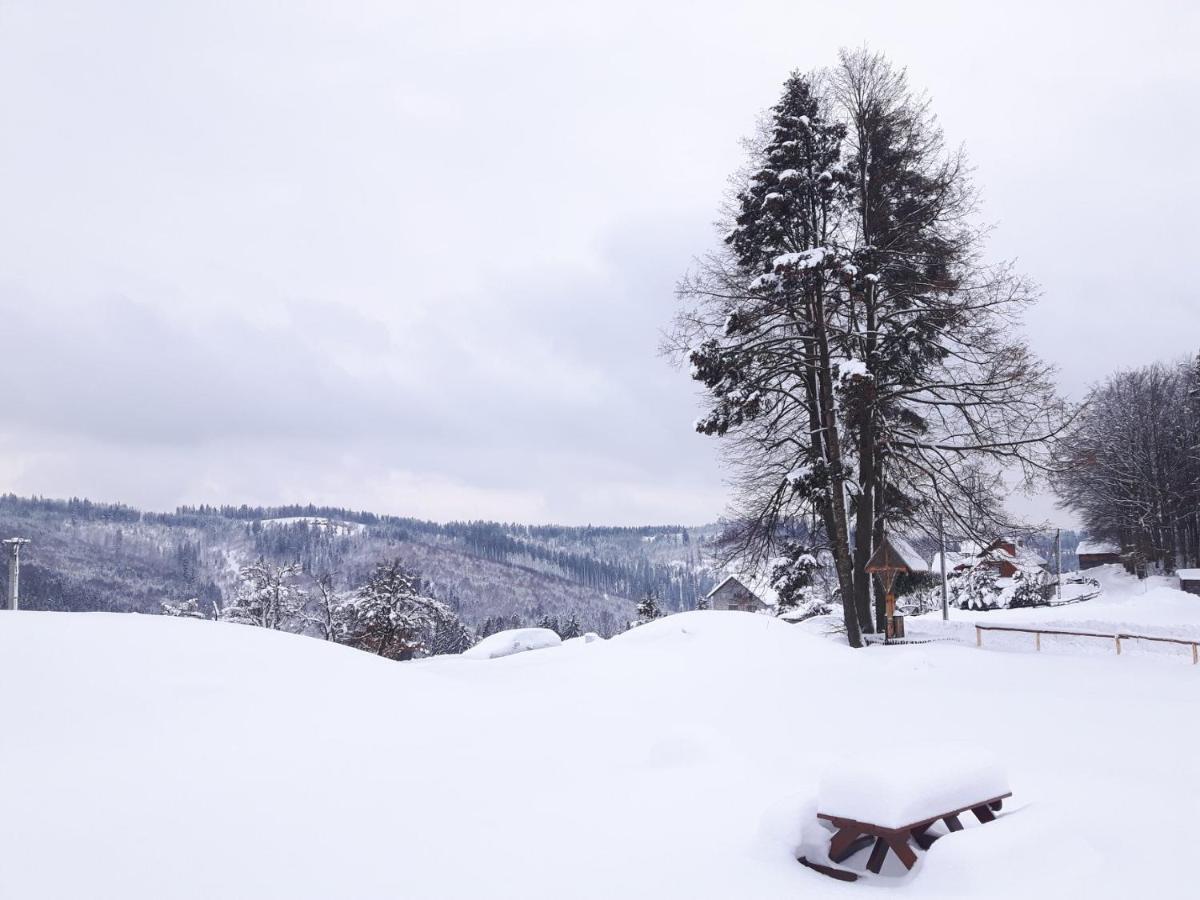 Apartament Z Kominkiem I Wanna Istebna Bagian luar foto
