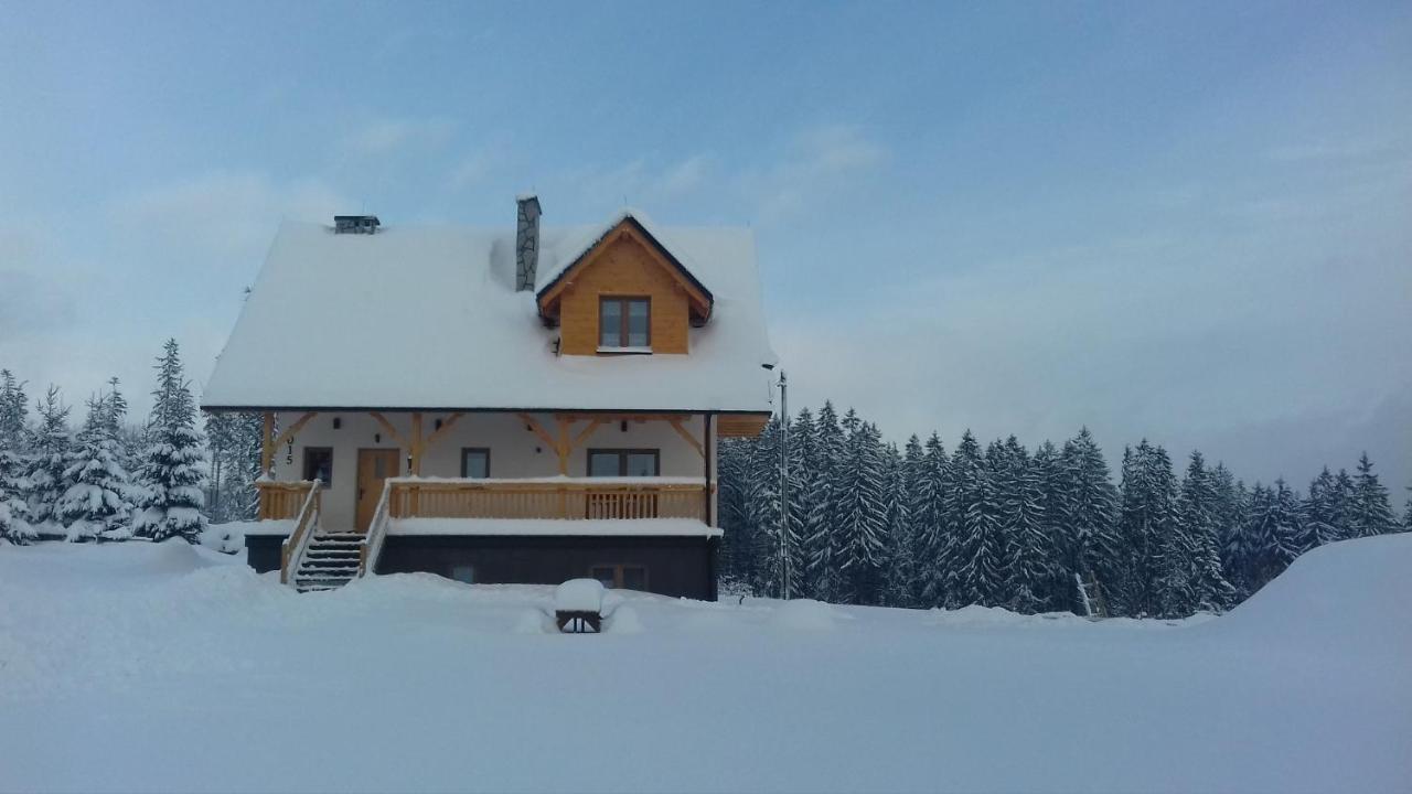 Apartament Z Kominkiem I Wanna Istebna Bagian luar foto